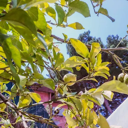 Prázdninový dům Casa Silvana, - Relaxando En El *