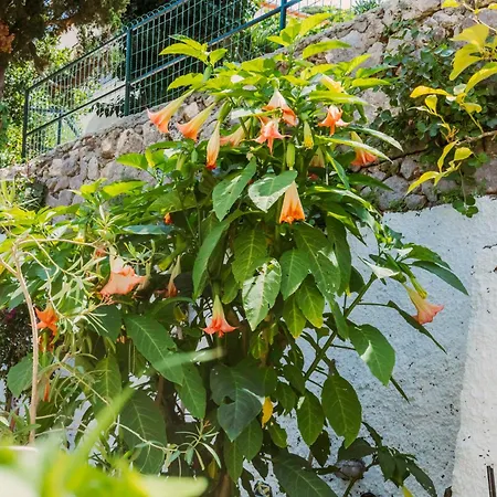 Tatil Evi Casa Silvana, - Relaxando En El